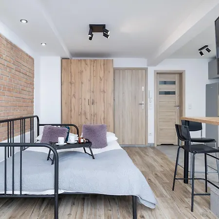 Classic Moniuszki In By Renters Apartament